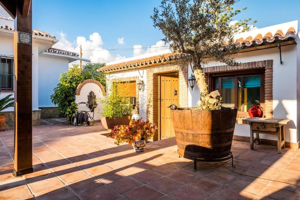 Estudio Maria De Waard Nerja Εξωτερικό φωτογραφία